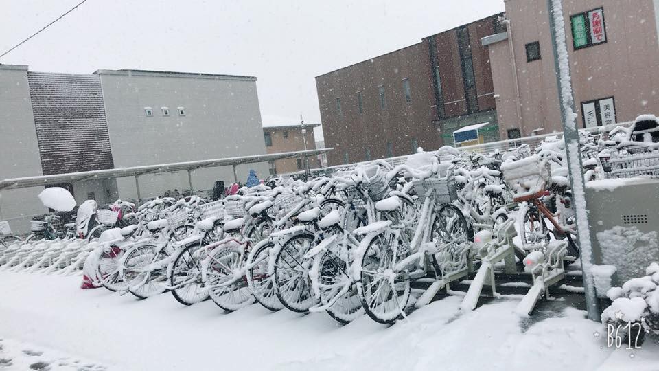 Những hình ảnh rùng mình trong bão tuyết kỷ lục tại Tokyo: Hàng trăm chuyến bay bị hủy, xe đạp đóng băng ngoài trời